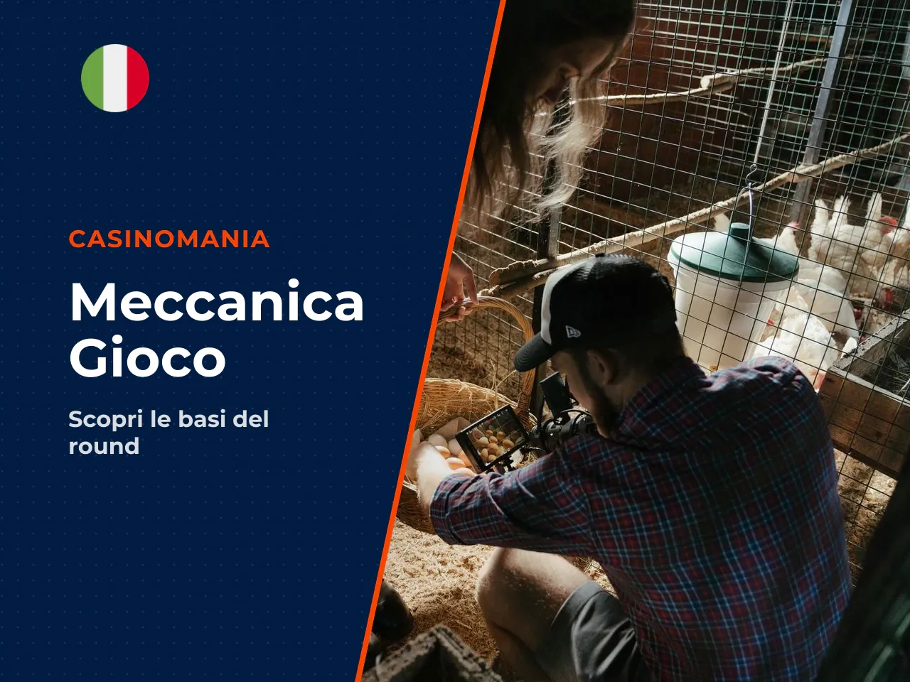 Chicken Road game: meccanica di base del round